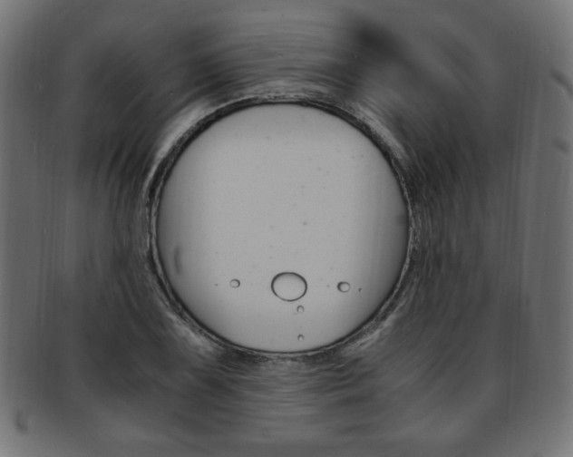 X0000094081075200710190912