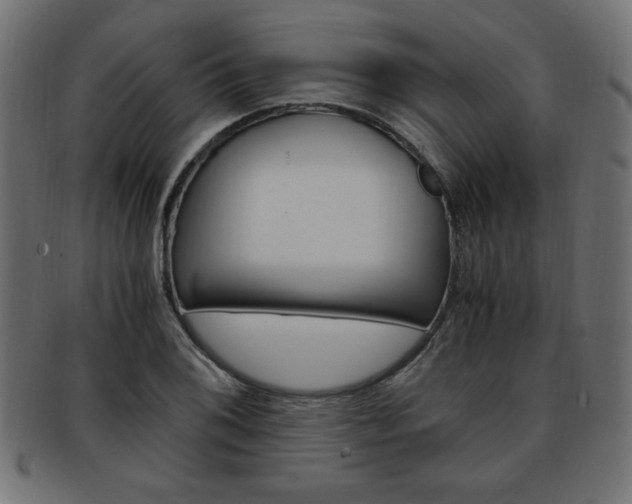 X0000094081076200710190912