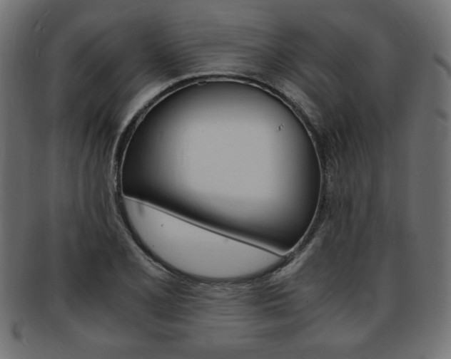 X0000094081077200710190912