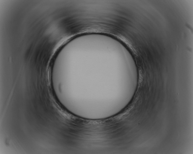 X0000094081078200710190912