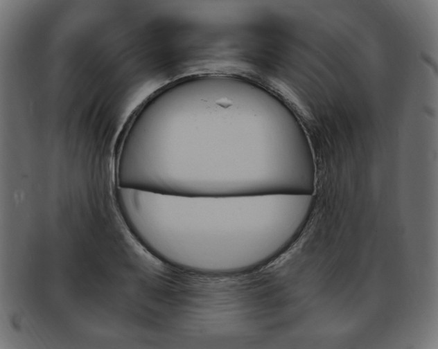 X0000094081079200710190912