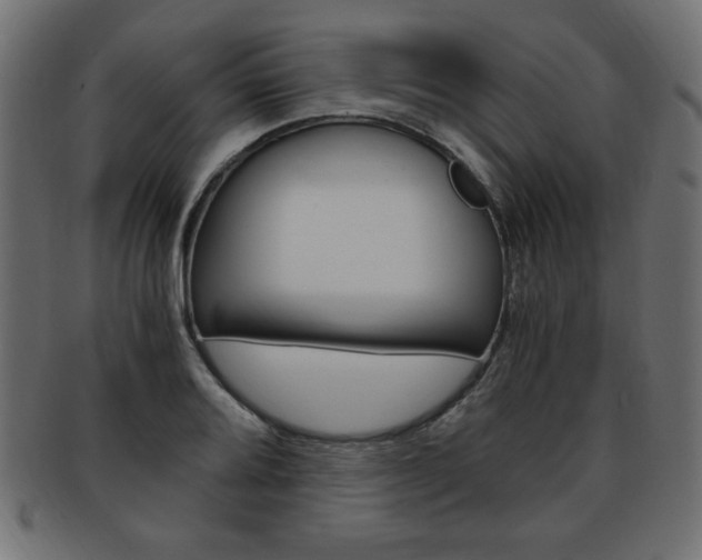 X0000094081080200710190912