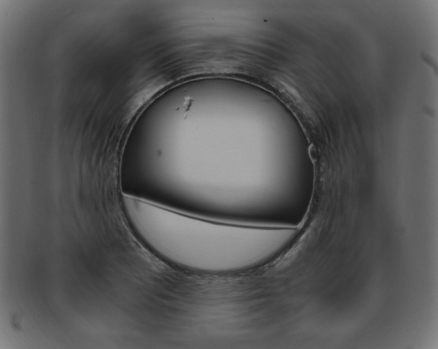X0000094081081200710190912