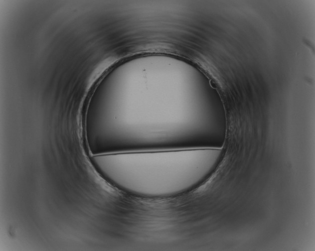 X0000094081082200710190912