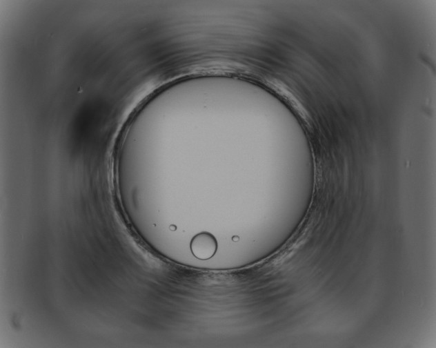 X0000094081083200710190912