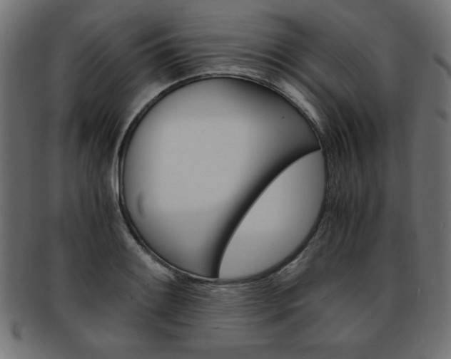 X0000094081084200710190912