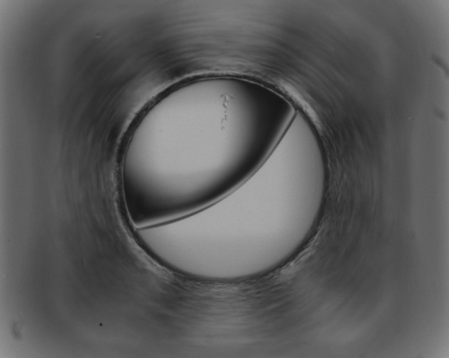 X0000094081085200710190912