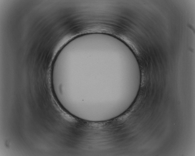 X0000094081086200710190912