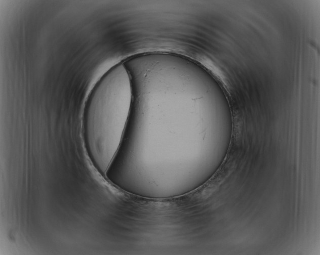 X0000094081088200710190912