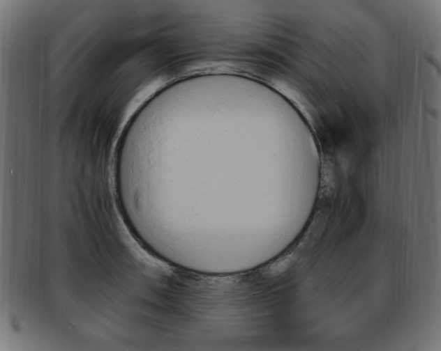 X0000094081090200710190912