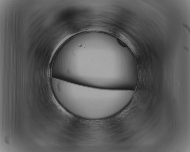 X0000094081092200710190912