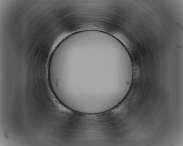 X0000094081094200710190912