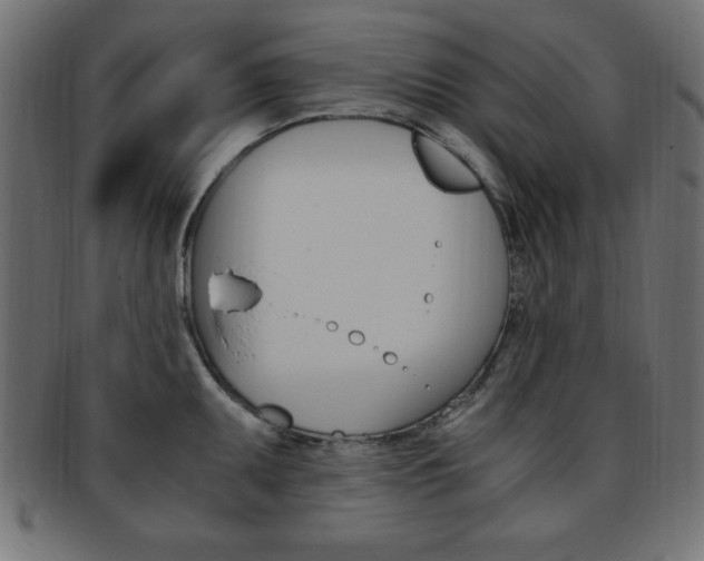 X0000094081095200710190912