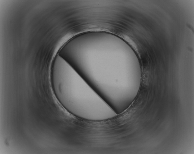 X0000094081096200710190912