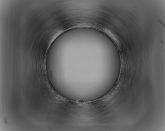 X0000094081097200710190912