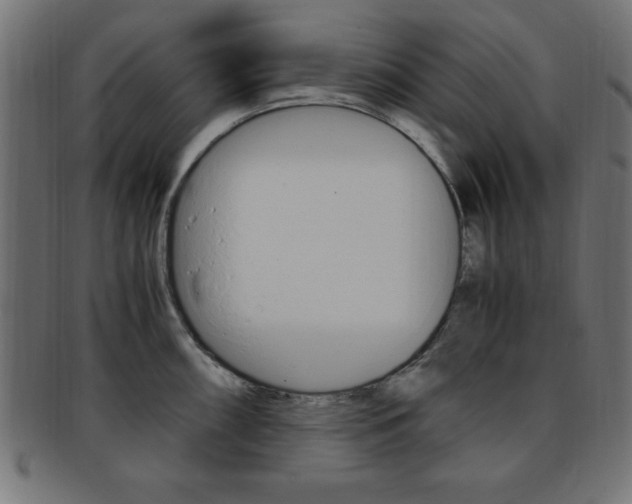 X0000094081098200710190912