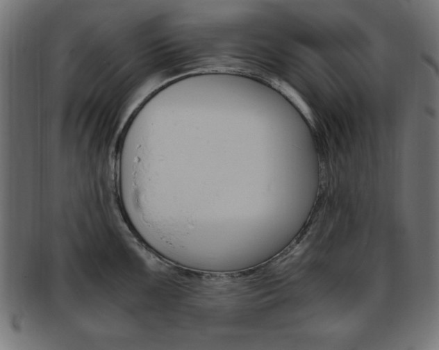 X0000094081099200710190912