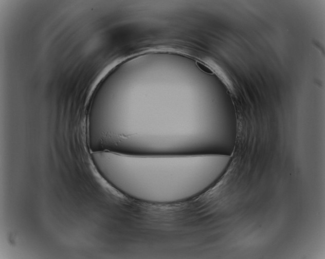 X0000094081100200710190912