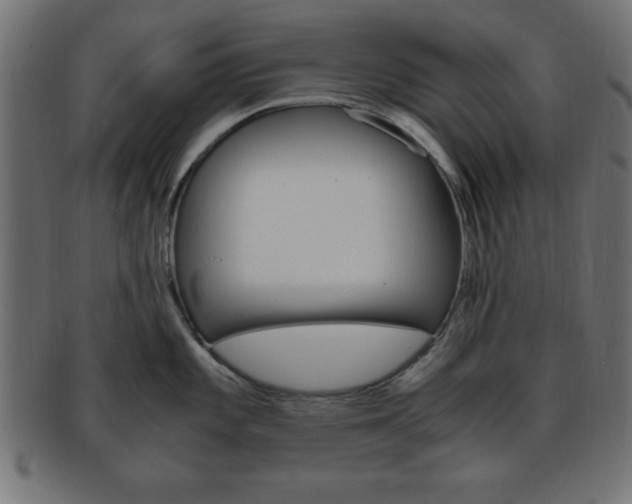 X0000094081101200710190912