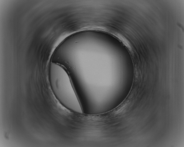 X0000094081102200710190912