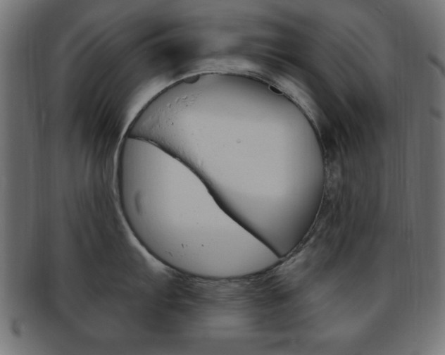 X0000094081103200710190912
