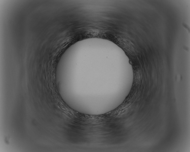 X0000094081105200710190911