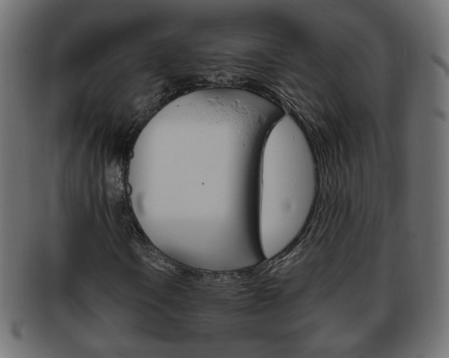 X0000094081106200710190911