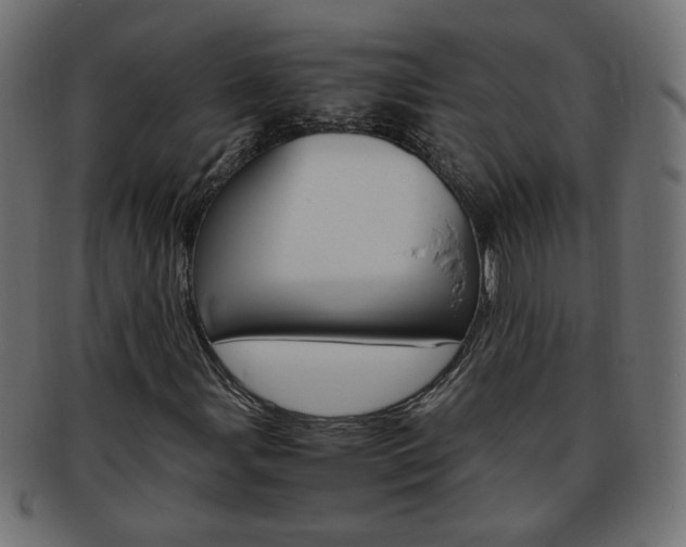 X0000094081107200710190911