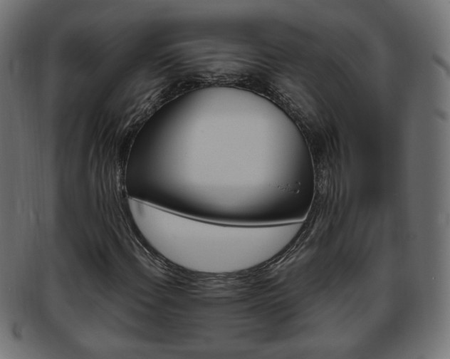 X0000094081108200710190911