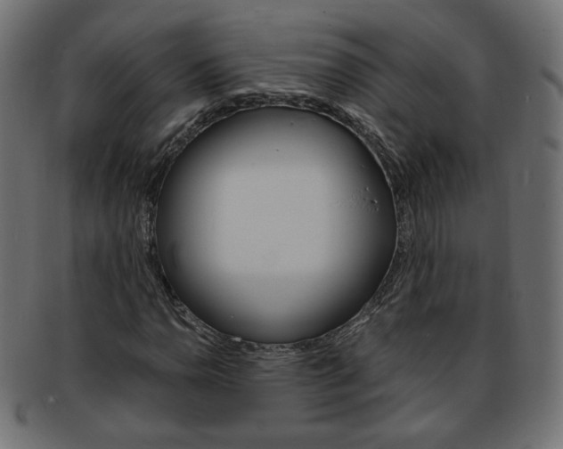 X0000094081110200710190911