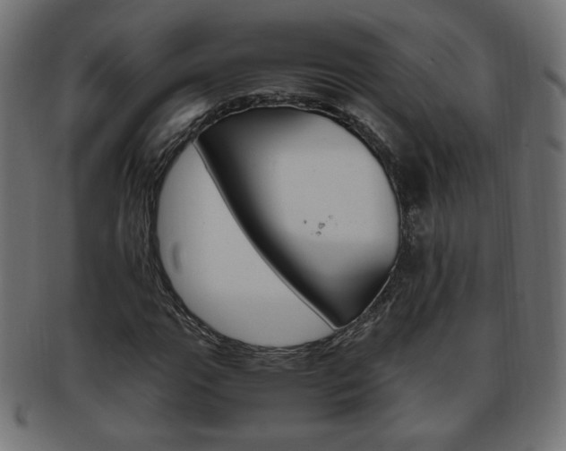 X0000094081111200710190911