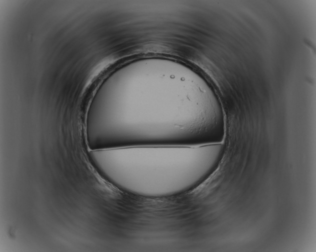 X0000094081115200710190911