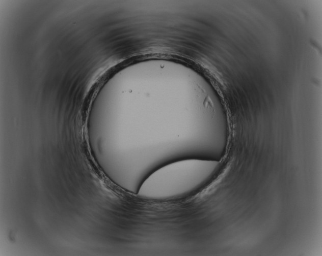 X0000094081117200710190911