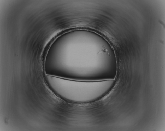 X0000094081118200710190911