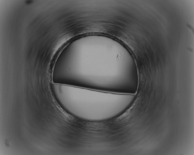 X0000094081119200710190911