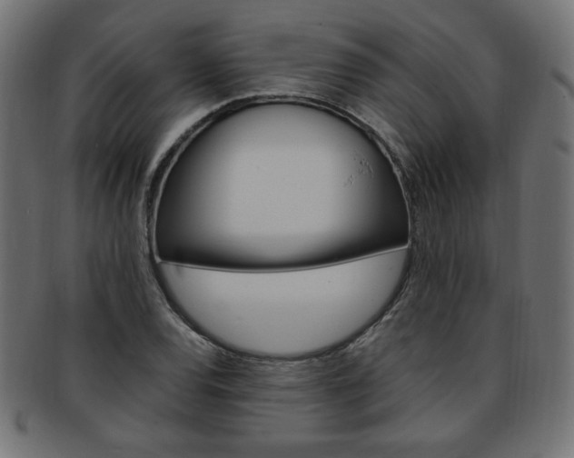 X0000094081120200710190911