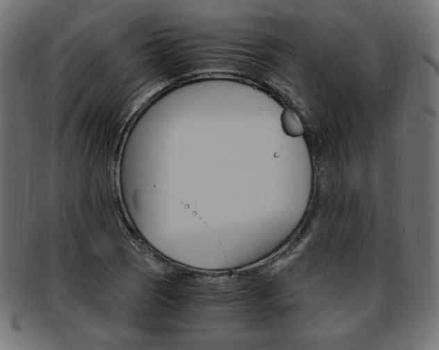 X0000094081121200710190911