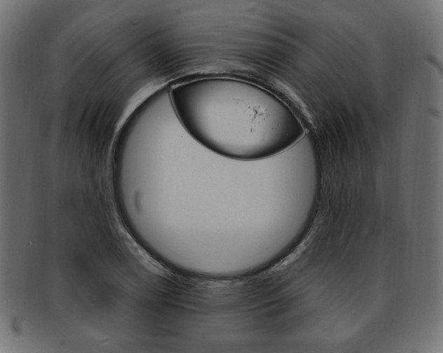 X0000094081122200710190911