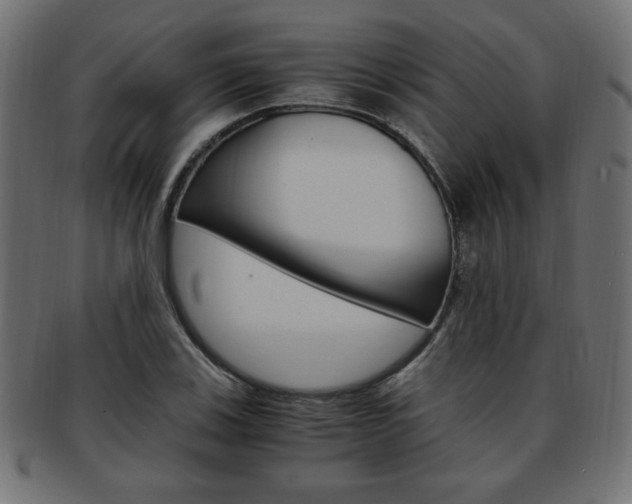 X0000094081123200710190911