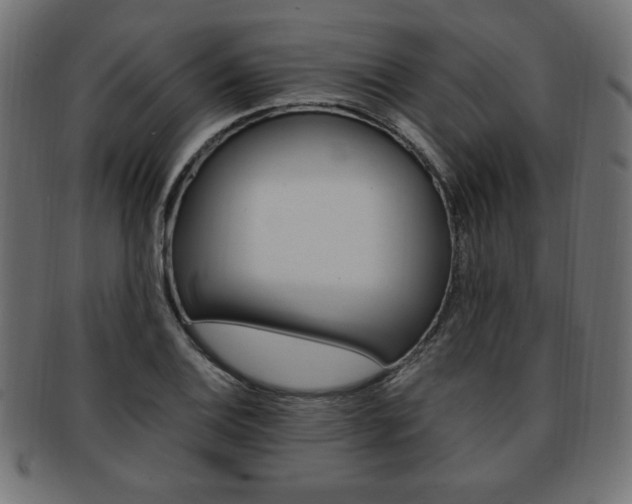 X0000094081124200710190911