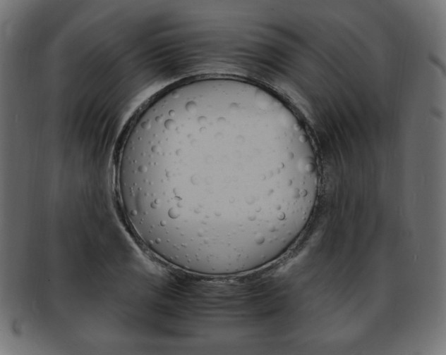 X0000094081125200710190911
