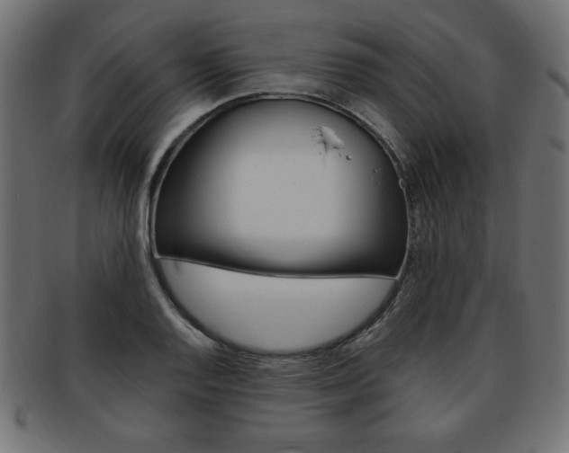 X0000094081128200710190911