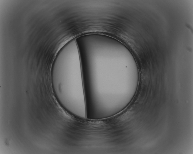 X0000094081129200710190911