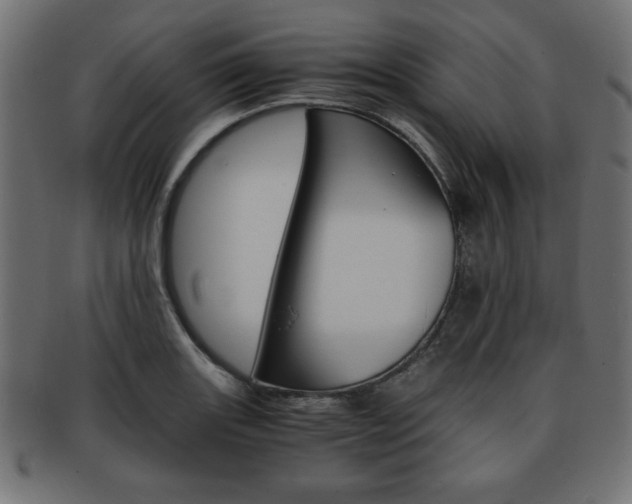 X0000094081131200710190912