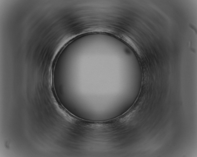 X0000094081132200710190912