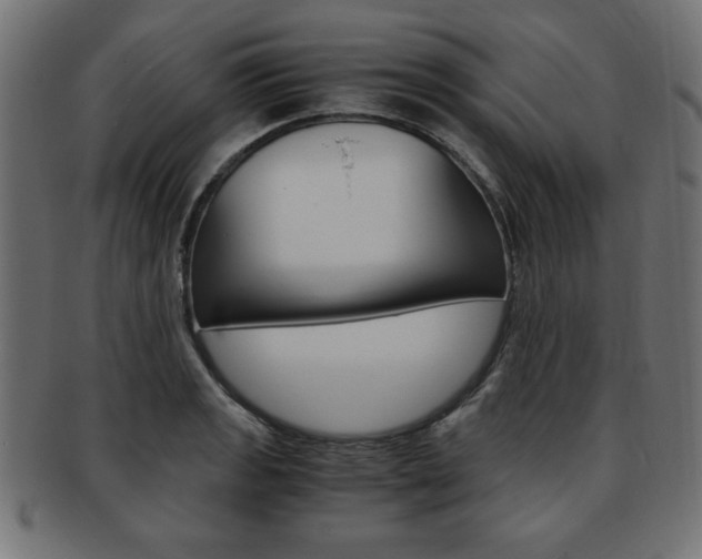 X0000094081133200710190912