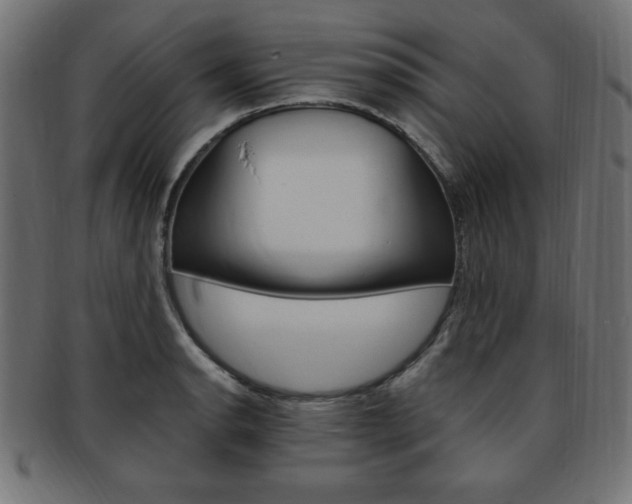 X0000094081134200710190912