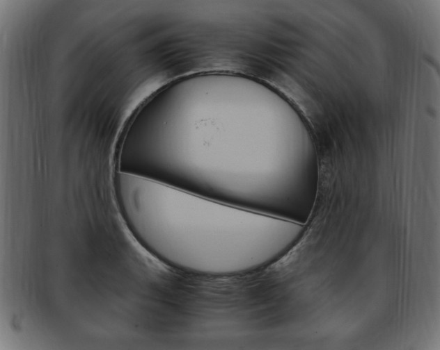X0000094081135200710190912