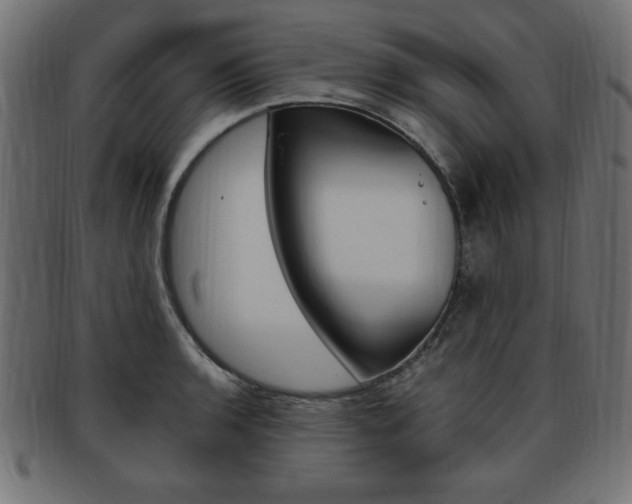 X0000094081136200710190912