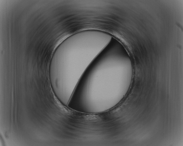 X0000094081137200710190912